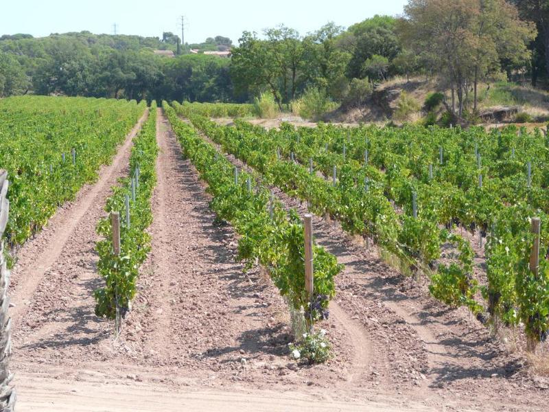 La Bastide Du Clos Des Roses - Teritoria Frejus Ngoại thất bức ảnh